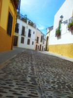 /album/galeria1/a20120917-120447-jpg1/