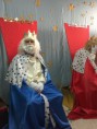 /album/fotogaleria-fiesta-navidad-ampa-colegio-publico-carmen-romero/img-20131220-wa0002-jpg1/