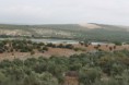 /album/laguna-de-zonar/img-9542-jpg/