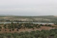 /album/laguna-de-zonar/img-9548-jpg/